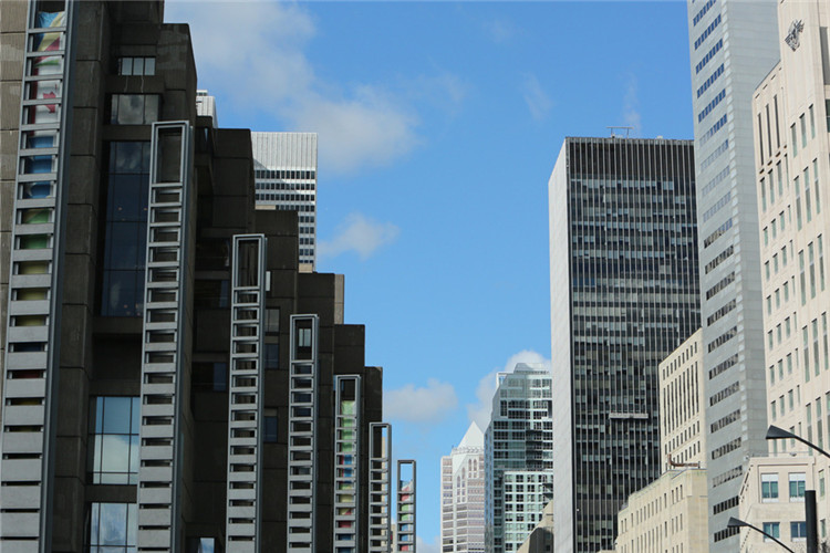 沧州想学历提升选哪种方式快?