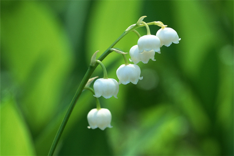 专升本土木工程考什么?