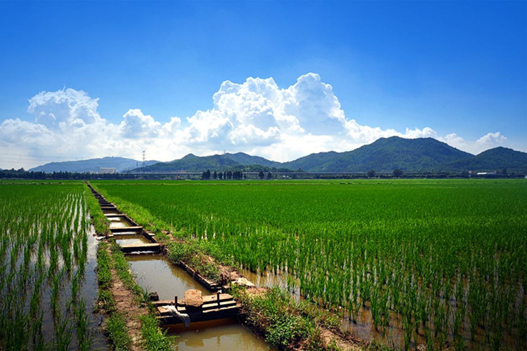保山上班族怎么快速提升学历?