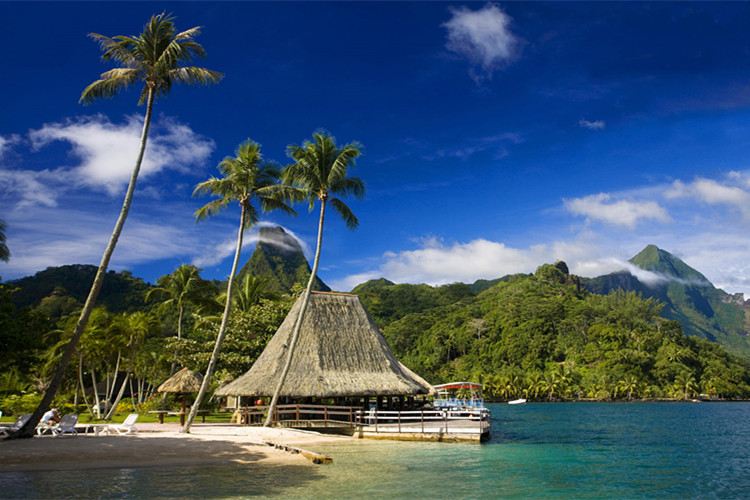 思想政治教育专业自考本科考什么科目?