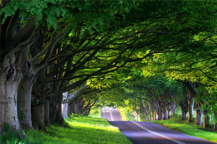 特殊教育专业可以报考本科院校有哪些?