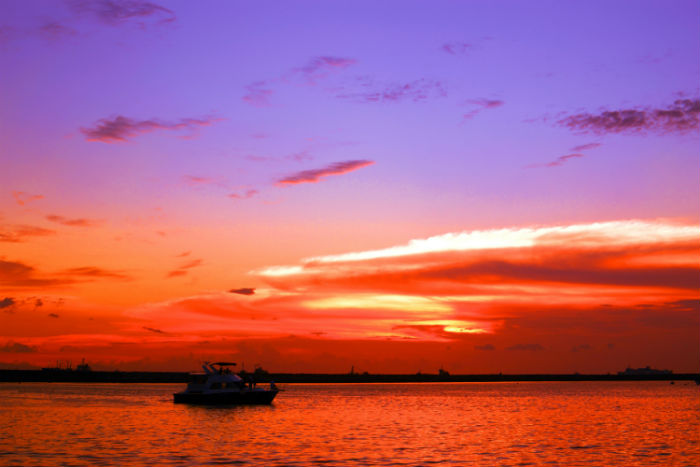 昭通专升本培训机构有哪些?报名哪个好?