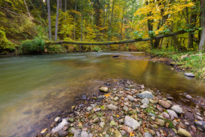 广西贵港专升本哪个成人培训机构好?