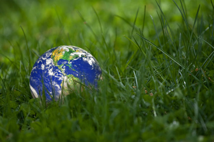 吉林学历提升有多少学校能报考?