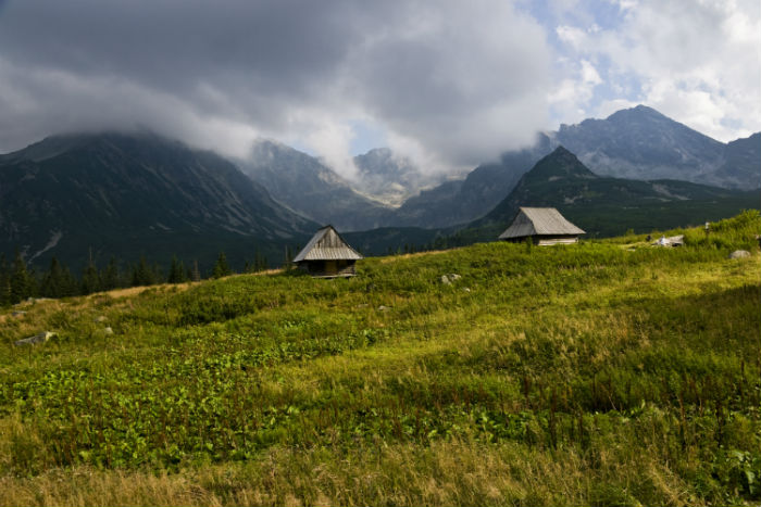 石家庄专升本考试时间2020