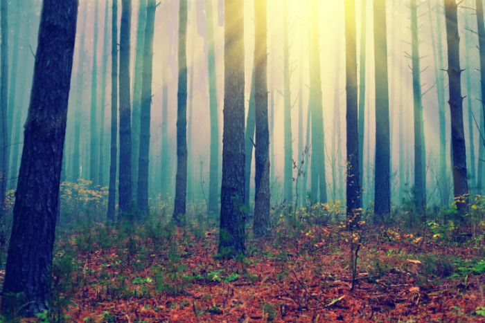 2020无锡专升本网上报名入口