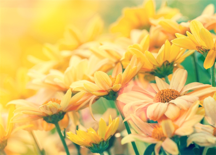 牡丹江市专升本培训机构在哪