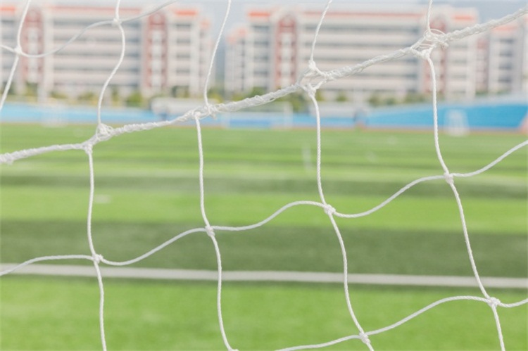 早期教育专升本可以报什么专业