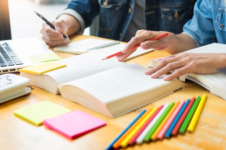 遵义专升本有哪些专业可以报考?