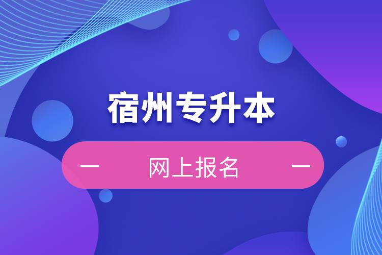 在宿州专升本怎么网上报名?